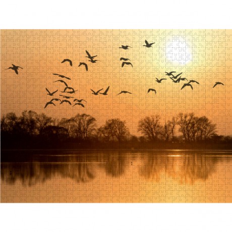 CALVENDO Puzzle CALVENDO Puzzle Emotionale Momente: Die Graugans. Пазл CALVENDO Пазл Эмоциональные моменты: Серый гусь.