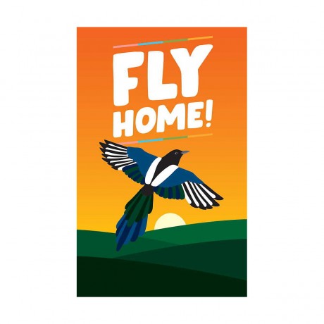 Fly Home! лететь домой