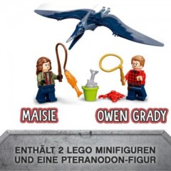 LEGO LEGO Jurassic World 76943 Pteranodon-Jagd LEGO Jurassic World 76943 Охота на птеранодона