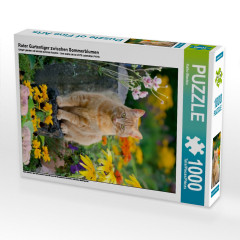 CALVENDO Puzzle CALVENDO Puzzle Roter Gartentiger zwischen Sommerblumen Пазл CALVENDO Puzzle Красный садовый тигр среди летних цветов