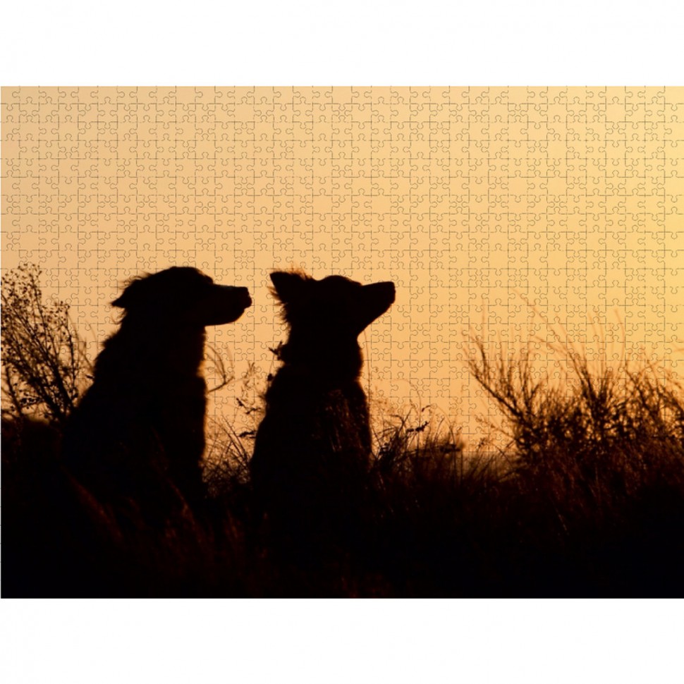 Купить CALVENDO Puzzle CALVENDO Puzzle Australian Shepherds im Spiel des  Lichts Пазл CALVENDO Пазл Австралийские овчарки в игре света в  интернет-магазине Diskontshop.eu Германия всего за 4 172 руб. в