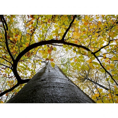 CALVENDO Puzzle CALVENDO Puzzle Garderen Пазл CALVENDO Puzzle Garden