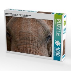 CALVENDO Puzzle CALVENDO Puzzle Emotional Moments: die sogenannten Big Five. Пазл CALVENDO Puzzle Эмоциональные моменты: так называемая Большая пятерка.
