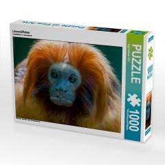 CALVENDO Puzzle CALVENDO Puzzle Lowenaffchen Пазл CALVENDO Пазл лев обезьяна