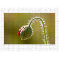 CALVENDO Puzzle CALVENDO Puzzle Emotionale Momente: Die Blumenwiese. \/ CH-Version Пазл CALVENDO Пазл Эмоциональные моменты: Цветочная поляна. \/ версия CH