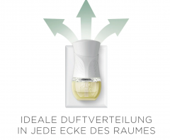 Air Wick Duftstecker Nachfüller Eukalyptus & Zedernholz 19ml, Сменный блок ароматизатора Air Wick Plug-In с ароматом эвкалипта и кедра 19мл