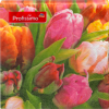 Profissimo Profissimo  Салфетки 33x33 Тюльпан, 20 шт
