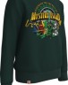 LEGO LEGO Ninjago Sweatshirt fur Jungen Толстовка для мальчиков LEGO Ninjago