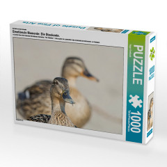 CALVENDO Puzzle CALVENDO Puzzle Emotionale Momente: Die Stockente. Пазл CALVENDO Пазл Эмоциональные моменты: кряква.