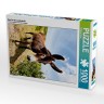 CALVENDO Puzzle CALVENDO Puzzle Esel in der Landschaft Пазл CALVENDO Puzzle Осел в пейзаже