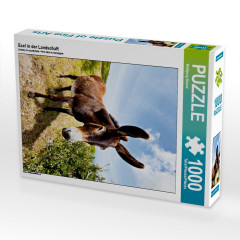 CALVENDO Puzzle CALVENDO Puzzle Esel in der Landschaft Пазл CALVENDO Puzzle Осел в пейзаже