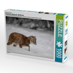 CALVENDO Puzzle CALVENDO Puzzle Emotionale Momente: Muffelwild. Пазл CALVENDO Пазл Эмоциональные моменты: муфлон.