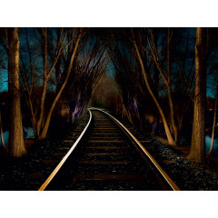 CALVENDO Puzzle CALVENDO Puzzle Sehnsucht der Natur Пазл CALVENDO Puzzle Тоска природы