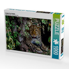 CALVENDO Puzzle CALVENDO Puzzle Leopard im Geholz Пазл CALVENDO Puzzle Леопард в лесу
