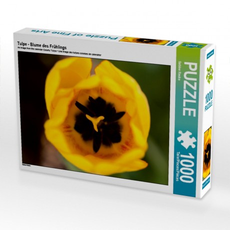 CALVENDO Puzzle CALVENDO Puzzle Tulpe Пазл CALVENDO Пазл Тюльпан