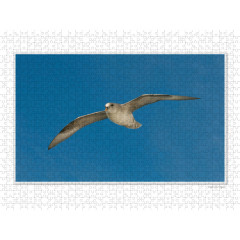 CALVENDO Puzzle CALVENDO Puzzle Emotionale Momente: Die Tierwelt der Arktis \/ CH-Version Пазл CALVENDO Puzzle Emotional Moments: The Animal World of the Arctic / CH version