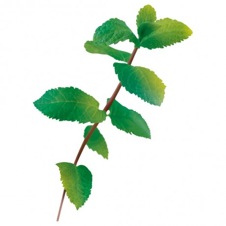 Yves Rocher Pure Menthe Porenverfeinernde Kohle-Maske  Pure Menthe Маска с углем, очищающая поры