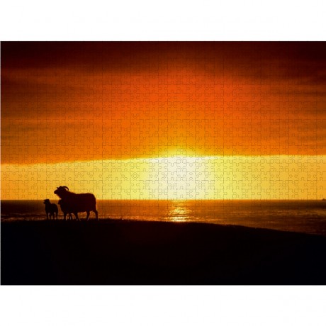 CALVENDO Puzzle CALVENDO Puzzle Beautiful Nature Пазл CALVENDO Puzzle Красивая Природа