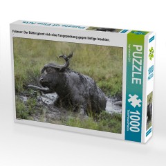 CALVENDO Puzzle CALVENDO Puzzle Februar: Der Buffel gonnt sich eine Fangopackung gegen lastige Insekten. Головоломка CALVENDO Puzzle Февраль: буйвол угощается стаей фанго