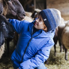 Jack Wolfskin Winterjacke ARGON STORM fur Jungen Зимняя куртка ARGON STORM для мальчика