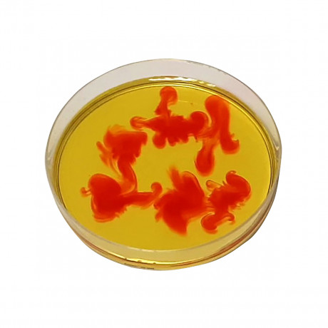 myExperimentSet FORSCHER ИССЛЕДОВАТЕЛИ