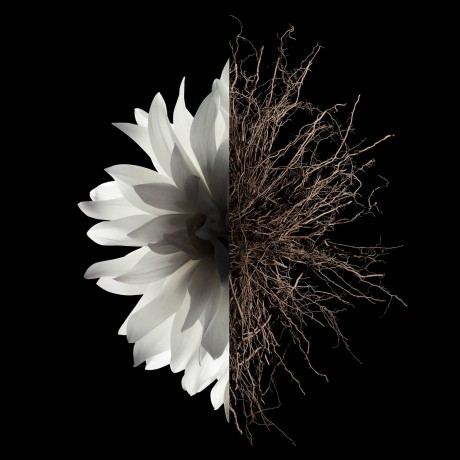 Givenchy The Body Milk  Молочко для тела