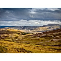 CALVENDO Puzzle CALVENDO Puzzle Cairngorm Nationalpark Пазл CALVENDO Puzzle Национальный парк Кэрнгорм