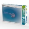 CALVENDO Puzzle CALVENDO Puzzle Faszination Leuchtquallen Пазл CALVENDO Puzzle Очарование светящихся медуз