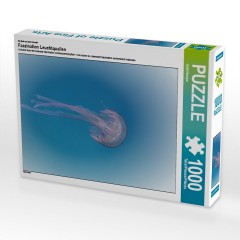 CALVENDO Puzzle CALVENDO Puzzle Faszination Leuchtquallen Пазл CALVENDO Puzzle Очарование светящихся медуз