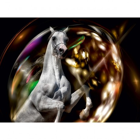 CALVENDO Puzzle CALVENDO Puzzle Die Blase Пазл CALVENDO Puzzle Пузырь