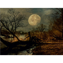 CALVENDO Puzzle CALVENDO Puzzle Sehnsucht der Natur Пазл CALVENDO Puzzle Тоска природы