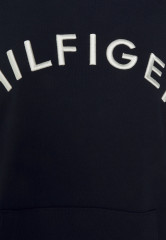 Tommy Hilfiger VARSITY HOODIE Sweatshirt desert sky МУЖСКАЯ ХУДИ Толстовка небо пустыни
