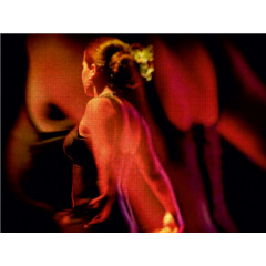 CALVENDO Puzzle CALVENDO Puzzle Flamenco Пазл CALVENDO Пазл Фламенко