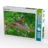 CALVENDO Puzzle CALVENDO Puzzle Leopard im Baum Пазл CALVENDO Puzzle Леопард на дереве