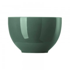 Thomas Thomas Sunny Day Herbal Green Muslischale 12 cm / 0,45 L Тарелка для хлопьев Thomas Sunny Day Herbal Green 12 см / 0,45 л