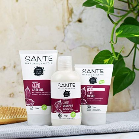 Sante Conditioner Glanz Bio-Birkenblatt, Санте Натуральный Кондиционер для блеска волос с органическими листьями березы, 150 мл