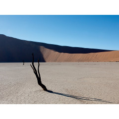 CALVENDO Puzzle CALVENDO Puzzle Vertrocknete Baume im Deadvlei Пазл CALVENDO Puzzle Сухие деревья в Deadvlei