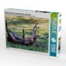 CALVENDO Puzzle CALVENDO Puzzle Wohlig walzt sich der brunftige Hirsch in der Suhle. Пазл CALVENDO Puzzle Олень во время гона счастливо валяется в луже.