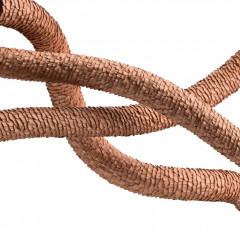 Schwarzkopf Professional Shampoo шампунь