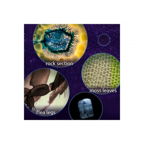 TOPBRIGHT  Tragbares Entdecker Mikroskop Портативный исследовательский микроскоп