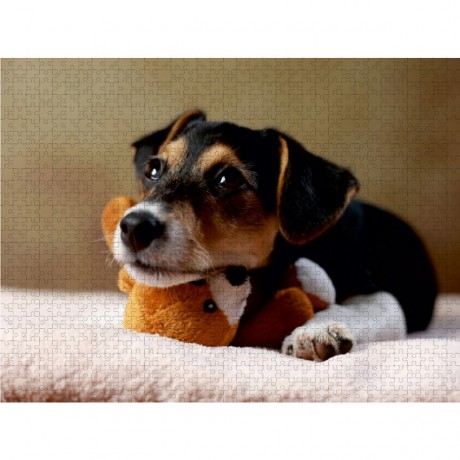 CALVENDO Puzzle CALVENDO Puzzle Liu Пазл CALVENDO Пазл Лю