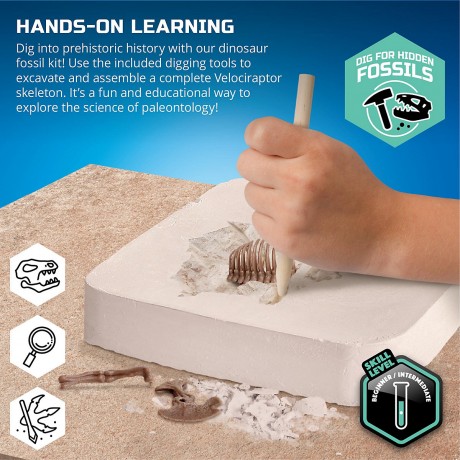 Toy Dinosaur Excavation Kit Skeleton 3D Puzzle Набор для раскопок игрушечного динозавра Скелет 3D-головоломка