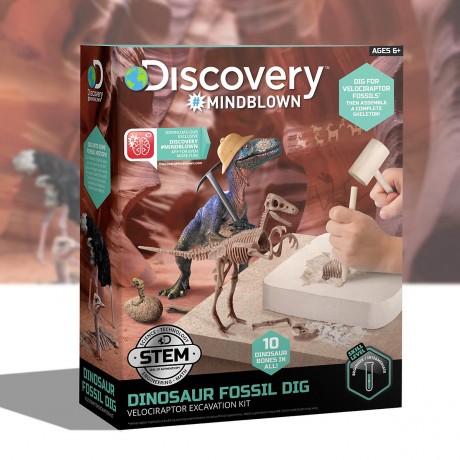 Toy Dinosaur Excavation Kit Skeleton 3D Puzzle Набор для раскопок игрушечного динозавра Скелет 3D-головоломка