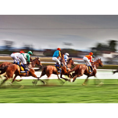 CALVENDO Puzzle CALVENDO Puzzle Marlor Пазл CALVENDO Пазл Марлор