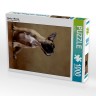 CALVENDO Puzzle CALVENDO Puzzle Rocky Пазл CALVENDO Puzzle Рокки