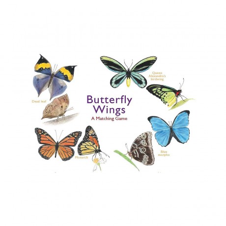 Butterfly Wings Крылья бабочки