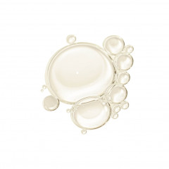 ERBORIAN Oil  Масло