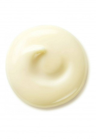 Shiseido SHISEIDO BENEFIANCE WRINKLE SMOOTHING DAY CREAM SPF 25 Gesichtscreme - SHISEIDO BENEFIANCE WRINKLE SMOOTHING DAY CREAM SPF 25 крем для лица