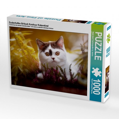 CALVENDO Puzzle CALVENDO Puzzle Zauberhaftes Britisch Kurzhaar Katzenkind Пазл CALVENDO Puzzle Очаровательный британский короткошерстный котенок