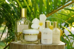 Ligne St Barth VISAGE Reinigungsmilch Frangipani-Bluten, Лёгкая очищающая эмульсия-молочко с экстрактом тропических цветков франжипани, 25 мл